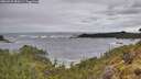 ./images/calvert/foggy-cove/20260525/foggy-cove20260525_090501M.jpg