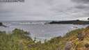 ./images/calvert/foggy-cove/20260525/foggy-cove20260525_091001M.jpg