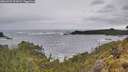 ./images/calvert/foggy-cove/20260525/foggy-cove20260525_092002M.jpg