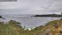 ./images/calvert/foggy-cove/20260525/foggy-cove20260525_092501M.jpg