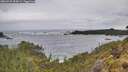 ./images/calvert/foggy-cove/20260525/foggy-cove20260525_093001M.jpg