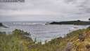 ./images/calvert/foggy-cove/20260525/foggy-cove20260525_093501M.jpg