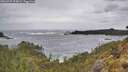 ./images/calvert/foggy-cove/20260525/foggy-cove20260525_094001M.jpg