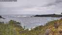 ./images/calvert/foggy-cove/20260525/foggy-cove20260525_094502M.jpg