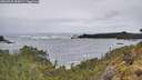 ./images/calvert/foggy-cove/20260525/foggy-cove20260525_095001M.jpg