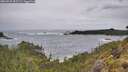 ./images/calvert/foggy-cove/20260525/foggy-cove20260525_095501M.jpg