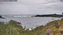 ./images/calvert/foggy-cove/20260525/foggy-cove20260525_100001M.jpg