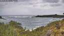 ./images/calvert/foggy-cove/20260525/foggy-cove20260525_100501M.jpg