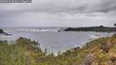 ./images/calvert/foggy-cove/20260525/foggy-cove20260525_101001M.jpg
