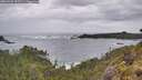 ./images/calvert/foggy-cove/20260525/foggy-cove20260525_101501M.jpg