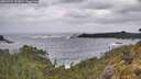 ./images/calvert/foggy-cove/20260525/foggy-cove20260525_102001M.jpg