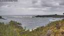 ./images/calvert/foggy-cove/20260525/foggy-cove20260525_102501M.jpg