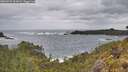 ./images/calvert/foggy-cove/20260525/foggy-cove20260525_103001M.jpg