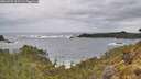 ./images/calvert/foggy-cove/20260525/foggy-cove20260525_103501M.jpg