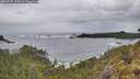 ./images/calvert/foggy-cove/20260525/foggy-cove20260525_104001M.jpg