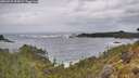 ./images/calvert/foggy-cove/20260525/foggy-cove20260525_104501M.jpg