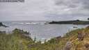 ./images/calvert/foggy-cove/20260525/foggy-cove20260525_105002M.jpg