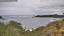 ./images/calvert/foggy-cove/20260525/foggy-cove20260525_105501M.jpg