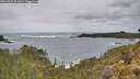 ./images/calvert/foggy-cove/20260525/foggy-cove20260525_111002M.jpg