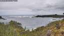 ./images/calvert/foggy-cove/20260525/foggy-cove20260525_111501M.jpg