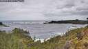 ./images/calvert/foggy-cove/20260525/foggy-cove20260525_112001M.jpg