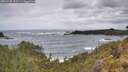 ./images/calvert/foggy-cove/20260525/foggy-cove20260525_112501M.jpg