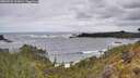 ./images/calvert/foggy-cove/20260525/foggy-cove20260525_113001M.jpg