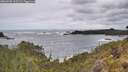./images/calvert/foggy-cove/20260525/foggy-cove20260525_113501M.jpg
