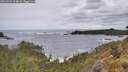./images/calvert/foggy-cove/20260525/foggy-cove20260525_114002M.jpg