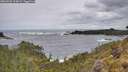 ./images/calvert/foggy-cove/20260525/foggy-cove20260525_114501M.jpg