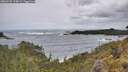 ./images/calvert/foggy-cove/20260525/foggy-cove20260525_115001M.jpg