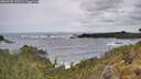 ./images/calvert/foggy-cove/20260525/foggy-cove20260525_115501M.jpg