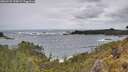 ./images/calvert/foggy-cove/20260525/foggy-cove20260525_120001M.jpg
