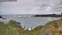 ./images/calvert/foggy-cove/20260525/foggy-cove20260525_120502M.jpg