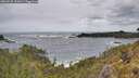 ./images/calvert/foggy-cove/20260525/foggy-cove20260525_121001M.jpg