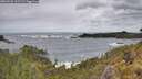./images/calvert/foggy-cove/20260525/foggy-cove20260525_121501M.jpg