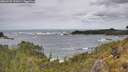 ./images/calvert/foggy-cove/20260525/foggy-cove20260525_122001M.jpg