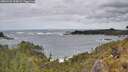 ./images/calvert/foggy-cove/20260525/foggy-cove20260525_123002M.jpg