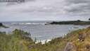 ./images/calvert/foggy-cove/20260525/foggy-cove20260525_123501M.jpg
