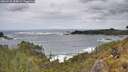 ./images/calvert/foggy-cove/20260525/foggy-cove20260525_124001M.jpg