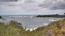 ./images/calvert/foggy-cove/20260525/foggy-cove20260525_124501M.jpg
