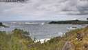 ./images/calvert/foggy-cove/20260525/foggy-cove20260525_125501M.jpg