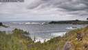 ./images/calvert/foggy-cove/20260525/foggy-cove20260525_131501M.jpg