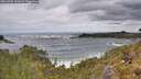 ./images/calvert/foggy-cove/20260525/foggy-cove20260525_132002M.jpg