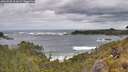 ./images/calvert/foggy-cove/20260525/foggy-cove20260525_133001M.jpg