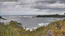 ./images/calvert/foggy-cove/20260525/foggy-cove20260525_133501M.jpg