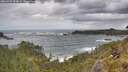./images/calvert/foggy-cove/20260525/foggy-cove20260525_134001M.jpg