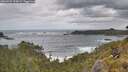 ./images/calvert/foggy-cove/20260525/foggy-cove20260525_134501M.jpg