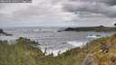./images/calvert/foggy-cove/20260525/foggy-cove20260525_135001M.jpg