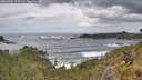 ./images/calvert/foggy-cove/20260525/foggy-cove20260525_135501M.jpg